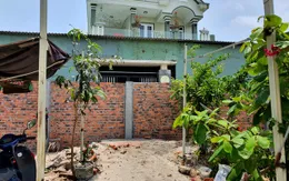 Xây tường chắn ngang cửa nhà hàng xóm vì... bị chửi trên Facebook