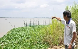 Gần 3.000 tỷ đồng tiền đấu giá mỏ cát trên sông Tiền và sông Hậu: Bình thường hay bất thường?