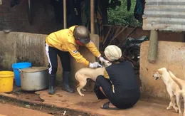 Đắk Lắk có 3 ca tử vong do bệnh dại