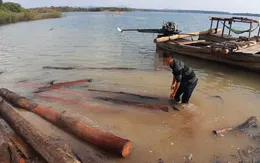 Cận cảnh bãi gỗ lậu khổng lồ dưới lòng hồ thủy điện Sê San 4