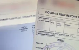 New Zealand cảnh báo về giấy chứng nhận âm tính với SARS-CoV-2 giả