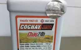 Báo động tình trạng tự tử bằng thuốc diệt cỏ