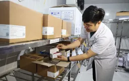 Hơn 8,1 triệu liều vaccine COVID-19 đã được phân bổ tới các địa phương