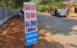 Dự báo bất ngờ: Đất sẽ ngừng "sốt", có nơi giảm giá, bán cắt lỗ