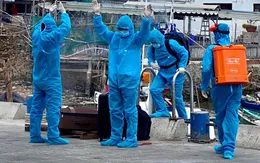 3 thuyền viên tàu PVT NEPTUNE nhập cảnh Vũng Tàu dương tính với virus SARS-CoV-2