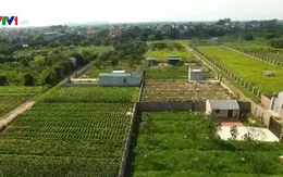 Khẩn trương làm rõ bất thường trong dồn điền đổi thửa tại Chương Mỹ, Hà Nội