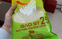 Câu chuyện thương hiệu gạo ST25 và bài học cho các Start-up Việt Nam