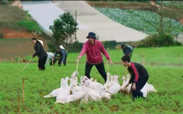 "Đi về nhà" của Đen Vâu vào đề thi thử tốt nghiệp THPT