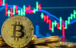 Những lần Bitcoin rớt giá gây chấn động