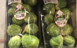 Bay từ Australia về Việt Nam, bắp cải tí hon được "hét giá" 400.000 đồng/kg