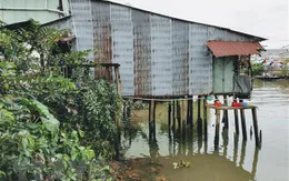 Sạt lở nghiêm trọng tiếp diễn ở Cần Thơ