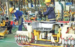 Nỗ lực "giữ lửa" kết nối doanh nghiệp Việt Nam - Bỉ mở rộng đầu tư