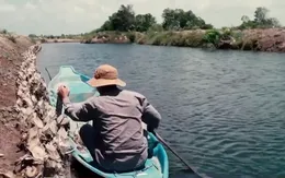 Hiệu quả từ mô hình nuôi tôm trong rừng ngập mặn ở ĐBSCL