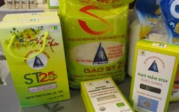 Doanh nghiệp Việt phải làm gì để bảo vệ thương hiệu của mình?