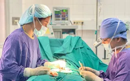 Chó nhà hàng xóm tấn công, bé 6 tuổi bị tổn thương dương vật