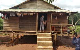 6 người trong gia đình bị ngộ độc sau khi ăn nấm