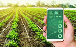 Ngành nông nghiệp không muốn lỡ "chuyến tàu" chuyển đổi số