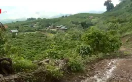 Góp 200 triệu đồng để bê tông hóa, người dân bức xúc vì đường bị đào xới