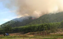 Nguy cơ cháy rừng ở mức cao do nắng nóng