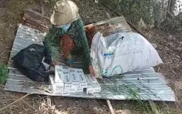 Giấu thuốc lá lậu trong bao cỏ để tuồn vào nội địa