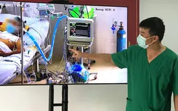 4 bệnh nhân COVID-19 nặng cai ECMO, máy thở