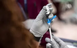 Nghịch lý vaccine mũi củng cố và mũi đầu tiên: Nỗi niềm người thừa, kẻ thiếu!