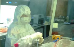 TP. Hồ Chí Minh xây dựng khu vực riêng để tiếp nhận, điều trị trường hợp nhiễm biến chủng Omicron