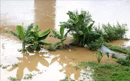 Mưa lớn gây ngập tại Lào Cai