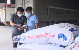 Doanh nghiệp chăn nuôi, sản xuất gặp khó vì kiểm dịch mỗi nơi một kiểu