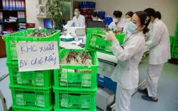 1.000 đơn vị máu lên đường trong đêm góp sức cùng miền Nam kiên cường chống dịch