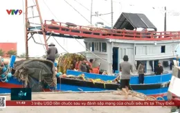 Giải quyết tiêu thụ hải sản khi cảng cá lớn nhất nam trung bộ bị phong tỏa