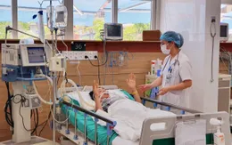 Gia tăng bệnh nhân bị rắn cắn nhập viện