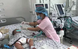 Cứu sống 3 trường hợp sốc sốt xuất huyết ở trẻ nhũ nhi