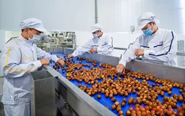 Doanh nghiệp cần làm gì để duy trì chuỗi cung ứng nông sản?