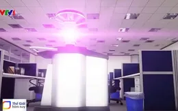 Mô hình văn phòng miễn dịch với COVID-19 trong tương lai