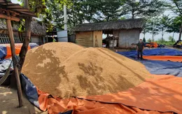 Bà Rịa - Vũng Tàu: Lợi dụng dịch bệnh, tài xế lấy trộm hơn 50 tấn bắp hạt mang đi bán