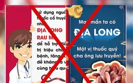 Bộ Y tế chưa cấp phép bất kỳ sản phẩm nào chữa COVID-19 từ địa long (giun đất)