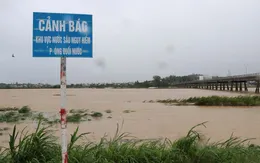 Mưa lũ ở Quảng Ngãi: Hàng trăm hecta lúa, hoa màu ngập úng, hư hỏng