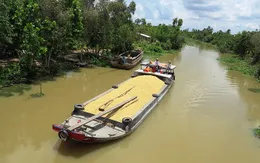 Mở rộng giao thông thủy vận chuyển lúa gạo