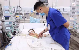 Phú Thọ: 2 trẻ tử vong do bệnh dại