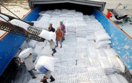 Khơi thông "luồng xanh" để giải tỏa ách tắc khó khăn cho thị trường lúa gạo