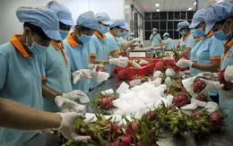 Hơn 1.600 mã nông sản, thực phẩm Việt Nam được xuất khẩu sang Trung Quốc