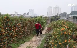 Làng nghề hối hả vào vụ Tết