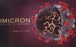 Omicron khiến số người bị ốm ở mức cao kỷ lục