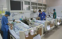 4 người ngộ độc nhập viện sau khi ăn củ nần