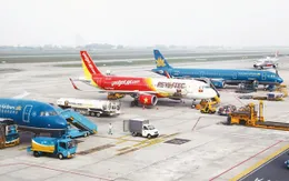 Cục Hàng không Việt Nam được phép quyết định tần suất bay Tết