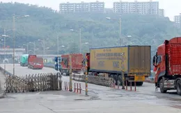 Lào Cai thiết lập "vùng xanh không COVID-19" phục vụ hoạt động xuất, nhập khẩu