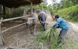 Tối thiểu 75.000 tỷ đồng cho mục tiêu giảm nghèo đến năm 2025