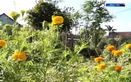 Phú Yên: Ngôi làng thiệt hại nhất trong đợt lũ lịch sử chuẩn bị đón Tết