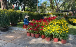 Các chợ hoa Tết tại TP Hồ Chí Minh đồng loạt đón khách